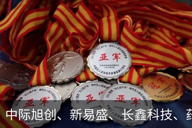 中际旭创、新易盛、长鑫科技、药明康德集体被增持，机构：当前A股不宜过度悲观