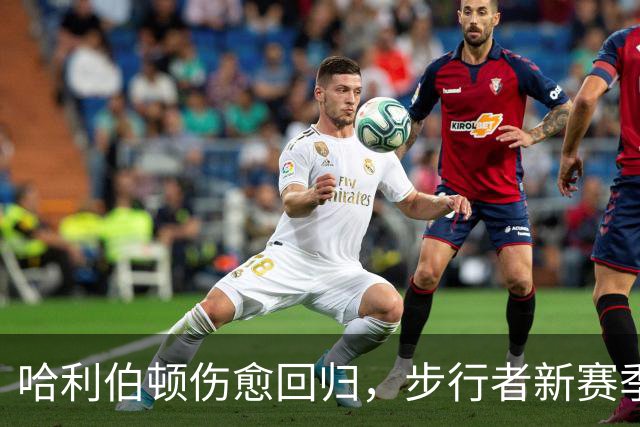 哈利伯顿伤愈回归，步行者新赛季观赛指南来了