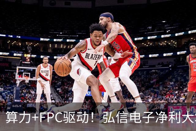 算力+FPC驱动！弘信电子净利大增139%，股价较年内高点回撤超40%